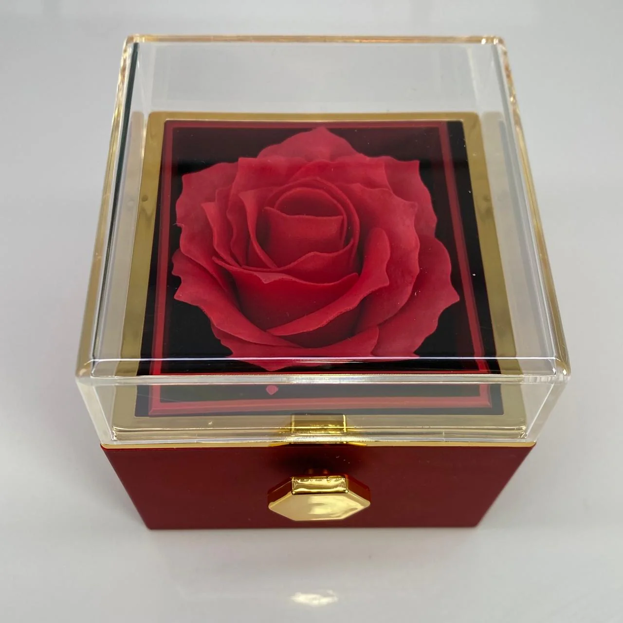 Miniatura 1